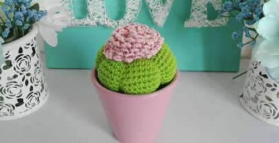 Cactus tejido en amigurumi con flor